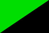 Green_and_Black_flag