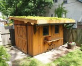 wood-shed-with-green-grass-roof-sliding-doors-overhanging-roof